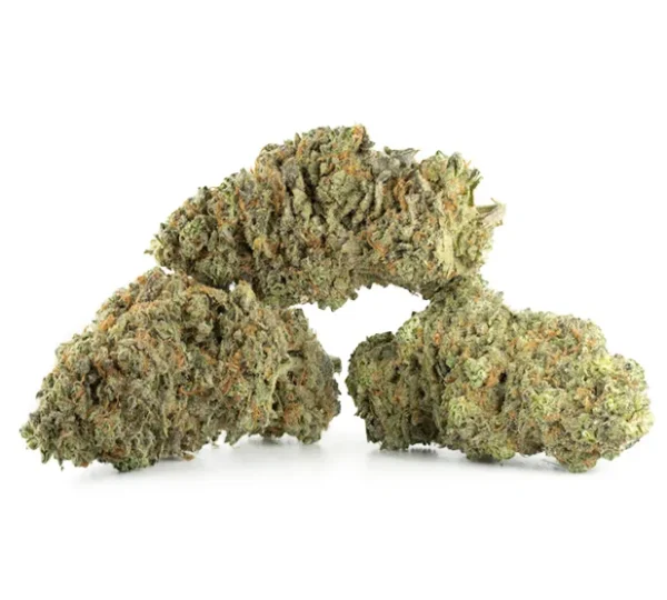Amnesia Haze Strain For Sale